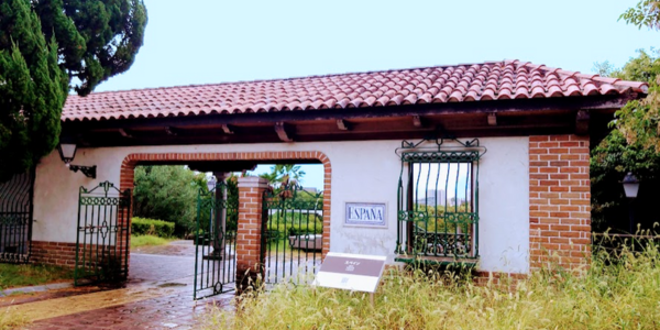 鶴見緑地　スペイン