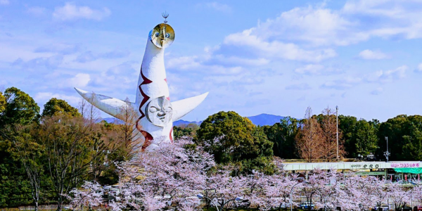 吹田市　万博記念公園　太陽の塔　桜