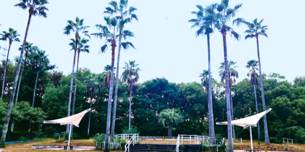 鶴見緑地　ハワイ