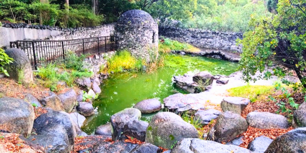 鶴見緑地　アイルランド・パビリオン