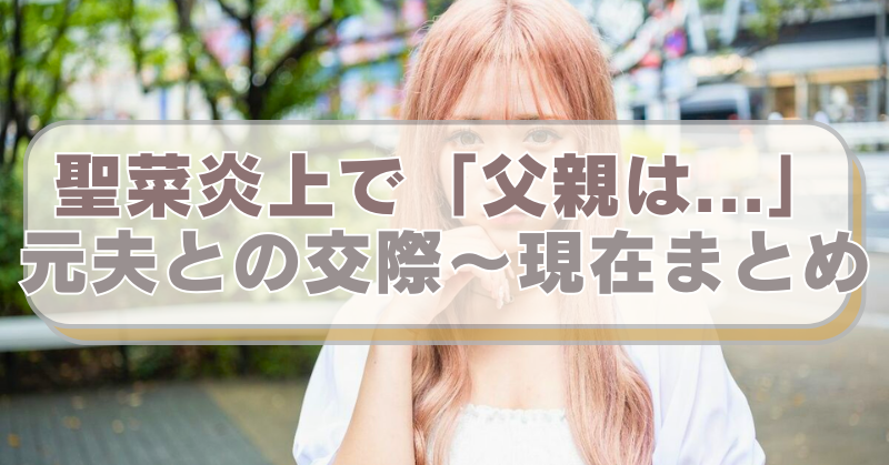 聖菜の画像に「聖菜炎上で「父親は...」　元夫との交際～現在まとめ」のテキスト入り。