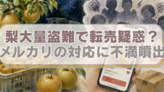 左側には深夜に梨を窃盗する様子、右側にメルカリで転売する画面が表示されたスマホのイラストに「梨大量盗難で転売疑惑？　メルカリの対応に不満噴出」のテキスト入り。